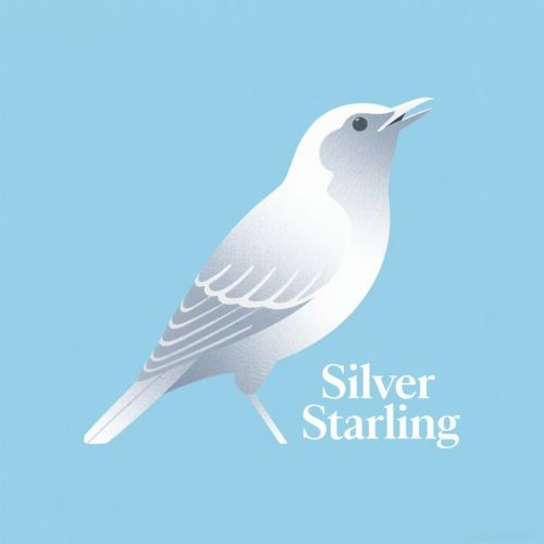 Silver Staring