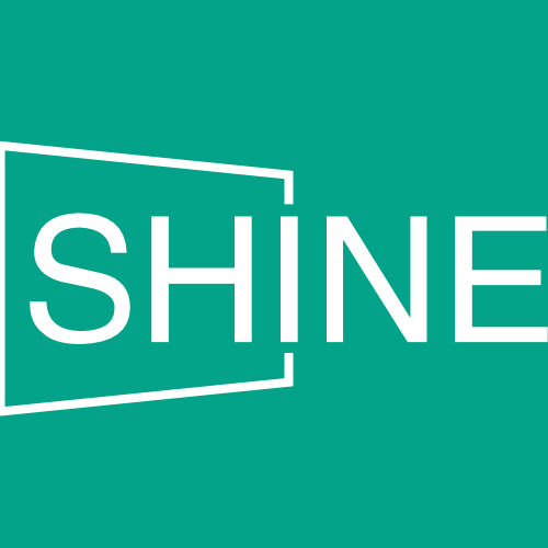Shine Artificial Flowers