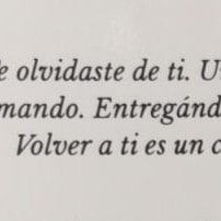 Lectura infinita
