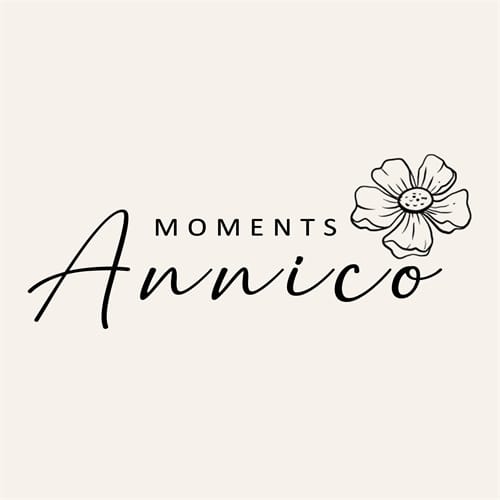Annico Moments