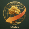 Vitalora home