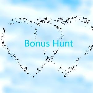 Bonus Hunt