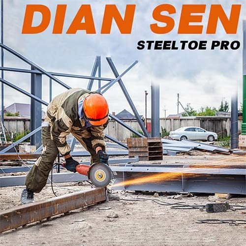 DIAN SEN STEELTOE PRO