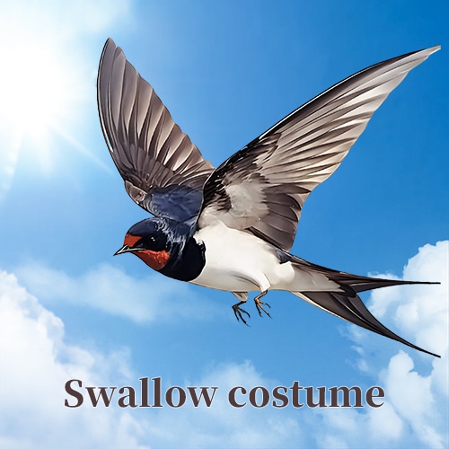 Swallow costume