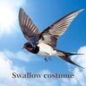 Swallow costume