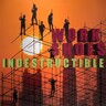 indestructible