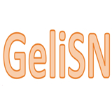 GeliSN Fashion