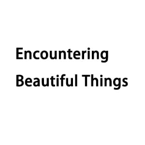 Encountering beautiful things