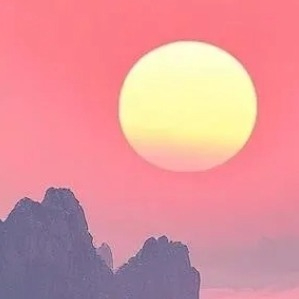 Successful business firm