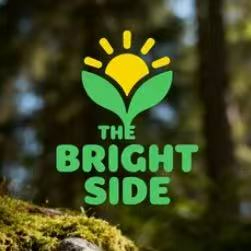 The Bright Side