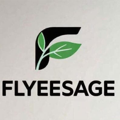 FLYEESAGE Home Living Hall