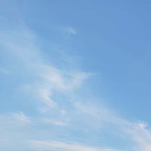 haoyueshangwu