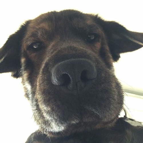 LookAtMe