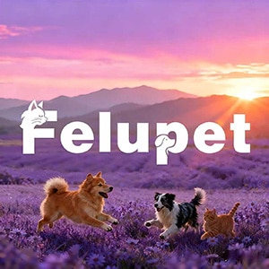 Felupet
