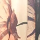 متعدد الألوان