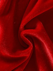 SHEIN 2件組新生女嬰天鵝絨公主洋裝，甜美紅色蕾絲領結蝴蝶結荷葉邊長袖圓領 A 字版毛絨冬秋聖誕派對裙 - 紅色 - 查看 5