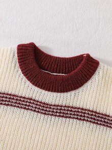 Young Boys Sweaters Streetwear Fashion Crew Neck Pullover Autumn/Winter Multicolor Color Block Knit Sweater - White - View 3