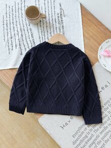 SHEIN 女童手工刺繡麻花格紋針織落肩短版套頭毛衣，柔軟舒適，適合日常穿著、外出、旅行、度假、居家、玩樂、萬聖節與聖誕節 - 藏蓝色 - 查看 2