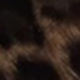 Mocha Brown