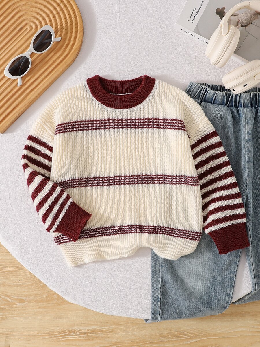 Young Boys Sweaters Streetwear Fashion Crew Neck Pullover Autumn/Winter Multicolor Color Block Knit Sweater - White - View 1