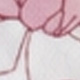 彩色