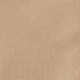 Unta