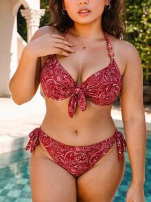 Swim Lushoire 2026 New Plus Size Women's Swimwear Set Vacation Beachwear - Multicolor - View 6