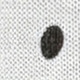 Multicolor