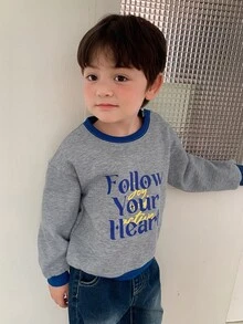 DAZY Baby Boy Crew Neck Colorblock Long Sleeve Sweatshirt Fall - Grey - View 4