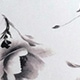 黑與白