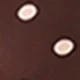 بني