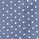 Dusty Blue