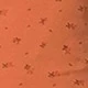 Coral Orange