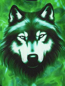 SHEIN 青少年男孩霓虹動物印花圓領長袖上衣與長褲休閒舒適修身居家睡衣套裝 2件組 - 彩色 - 查看 3