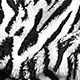 Black and White