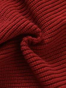 SHEIN Baby Boy Baby Girl Baby Boy Red Dinosaur Pattern Crew Neck Long Sleeve Pullover Sweater, Versatile And Comfortable For Autumn/Winter, Suitable For Christmas - Burgundy - View 7