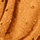 Coral Orange