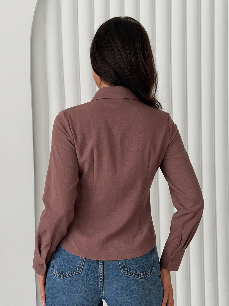 Solid Color Fitted Waist Long Sleeve Elegant Formal Old Money Summer Blouse For Women