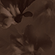 Multicolor