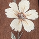 Coffee Brown