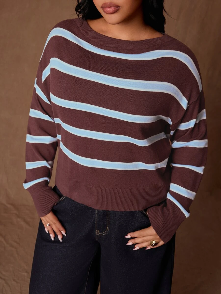 Rustia Plus Size Autumn/Winter Casual Colorblock Striped Sweater - Multicolor - View 1