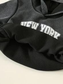 SHEIN 男嬰字母圖案針織軟綿連帽長袖套頭衛衣與鬆緊腰長褲兩件套 - 彩色 - 查看 8