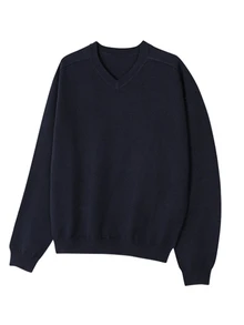 DAZY Autumn/Winter Navy Blue Solid V-Neck Ribbed Hem And Cuff Korean Style Men's Sweater - Navy Blue - View 4