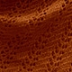Burnt Orange