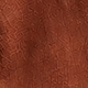 Coral Orange