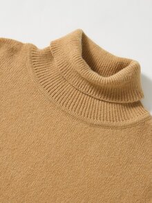 Rusticease Women's Plus Size Solid Color Turtleneck Sweater, Autumn/Winter - Camel - View 7