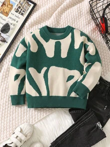 SHEIN 兒童小男孩拼色圓領長袖休閒百搭秋季毛衣 - 彩色 - 查看 3