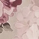 彩色