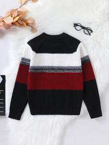 SHEIN Tween Boy Colorblock Crew Neck Raglan Long Sleeve Casual Sweater - Burgundy - View 2