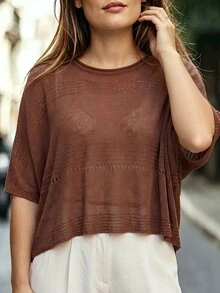 Linhara CURVE Plus Size Women's Autumn/Winter Thin Crew Neck Asymmetrical Loose Knit Pullover Sweater - Coffee Brown - View 3